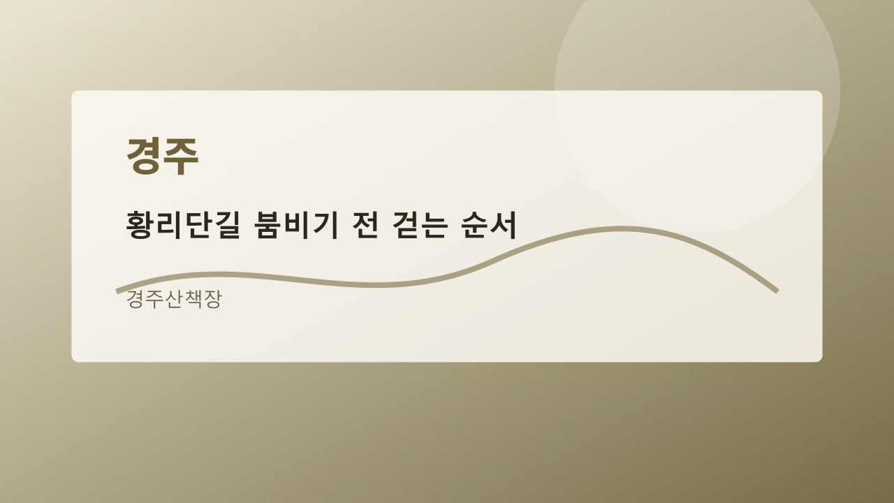 황리단길 붐비기 전 걷는 순서